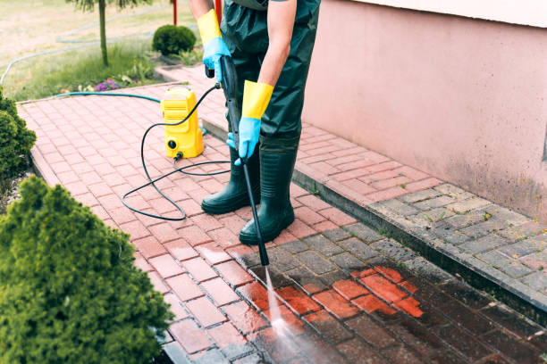 Best Roof Power Washing Services  in The Plains, OH