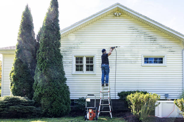 Best Roof Pressure Washing  in The Plains, OH